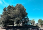 Chalet independiente con terreno en venta en la España, Almansa, ref: TR404329 foto