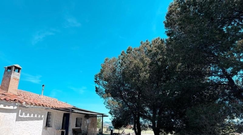 Albacete - Almansa - 67131m2