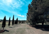 Chalet independiente con terreno en venta en la España, Almansa, ref: TR404329 foto