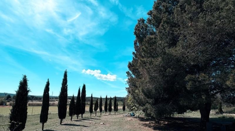 Albacete - Almansa - 67131m2