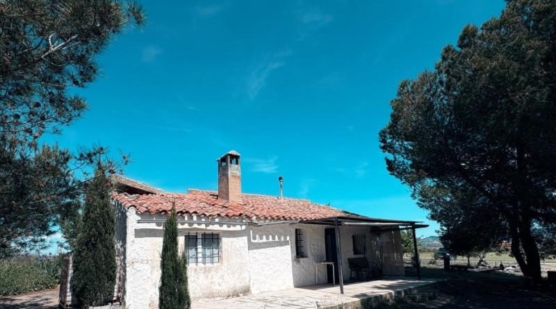 Albacete - Almansa - 67131m2