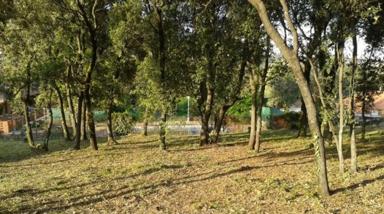 Barcelona - Cànoves - 797m2