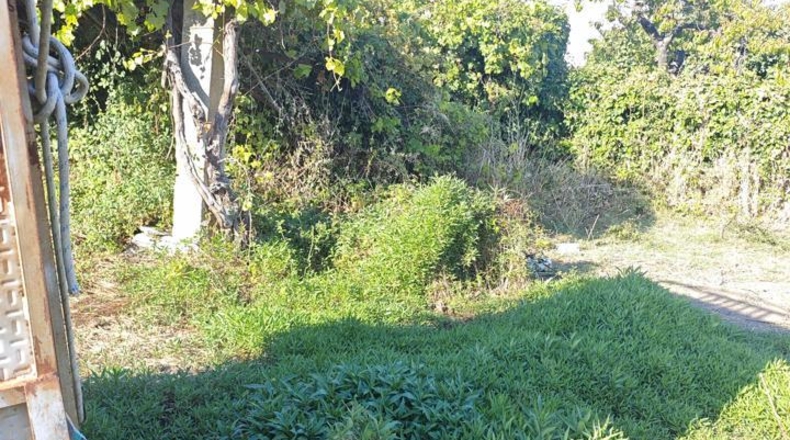 Caceres - Plasencia - 2800m2
