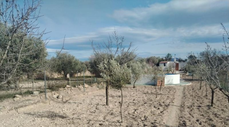 Alicante - Castalla - 46m2