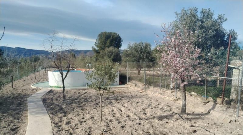Alicante - Castalla - 46m2