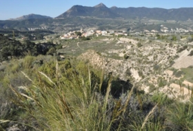 Foto 10