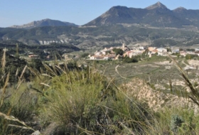 Foto 12