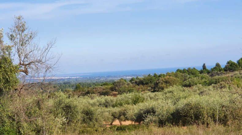 Castellón - San Jorge - 18800m2