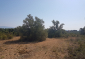Detached villa with land for sale on España, Sant Jordi, ref: TR301113 photo