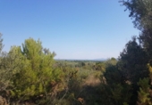 Detached villa with land for sale on España, Sant Jordi, ref: TR301113 photo