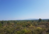 Detached villa with land for sale on España, Sant Jordi, ref: TR301113 photo