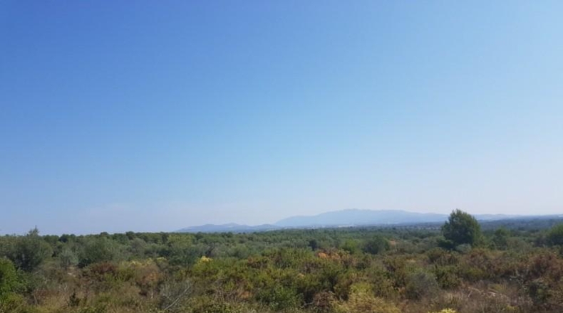 Castellón - San Jorge - 18800m2