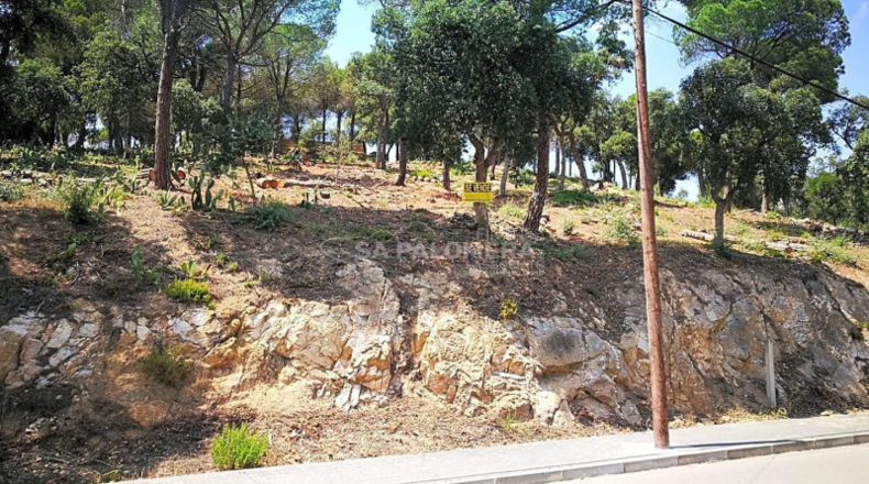 Barcelona - Tordera - 1223m2