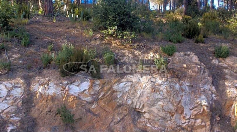 Barcelona - Tordera - 1223m2