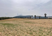 Terreno no urbanizable en venta en la España, Mollina, ref: TR390449 foto