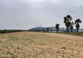 Terreno no urbanizable en venta en la España, Mollina, ref: TR390449 foto