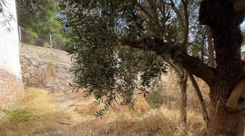 Málaga - Antequera - 223m2