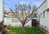 Casa de pueblo en venta en la España, Samboal, ref: TR309724 foto