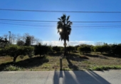 Parcela urbanizable en venta en la España, Murcia, ref: TR382969 foto