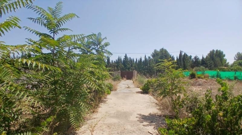 Albacete - Albacete - 2200m2