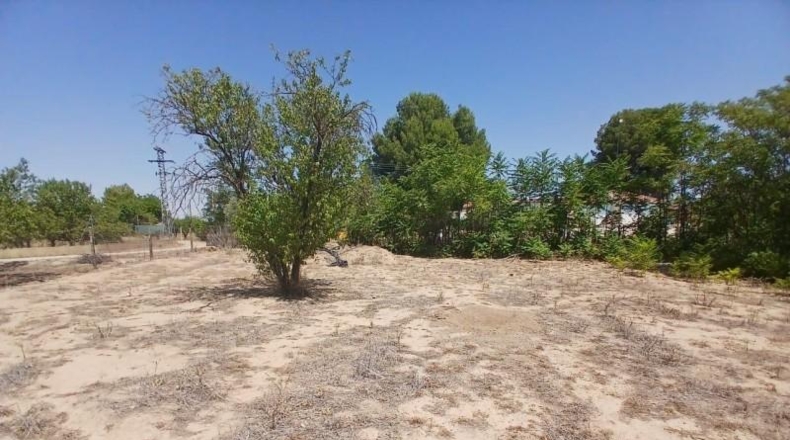 Albacete - Albacete - 2200m2