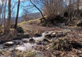 Terreno no urbanizable en venta en la España, Castejón de Sos, ref: TR402201 foto