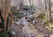 Terreno no urbanizable en venta en la España, Castejón de Sos, ref: TR402201 foto