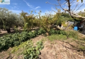 House with land for sale on España, Vinaròs, ref: TR409550 photo