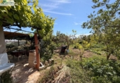 House with land for sale on España, Vinaròs, ref: TR409550 photo