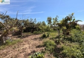 House with land for sale on España, Vinaròs, ref: TR409550 photo