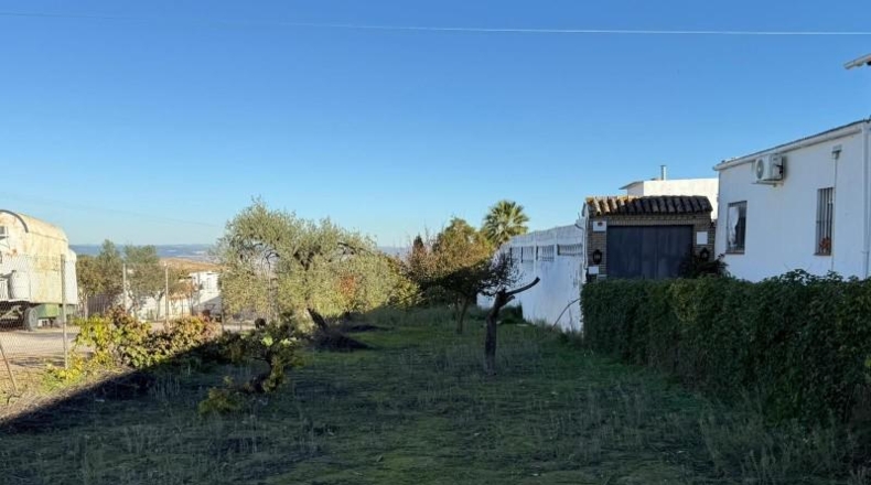 Sevilla - Salteras - 1229m2