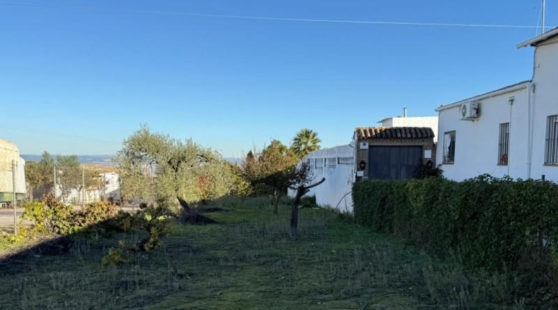 Sevilla - Salteras - 1229m2