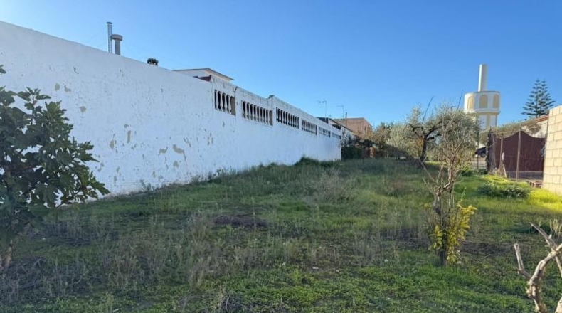 Sevilla - Salteras - 1229m2