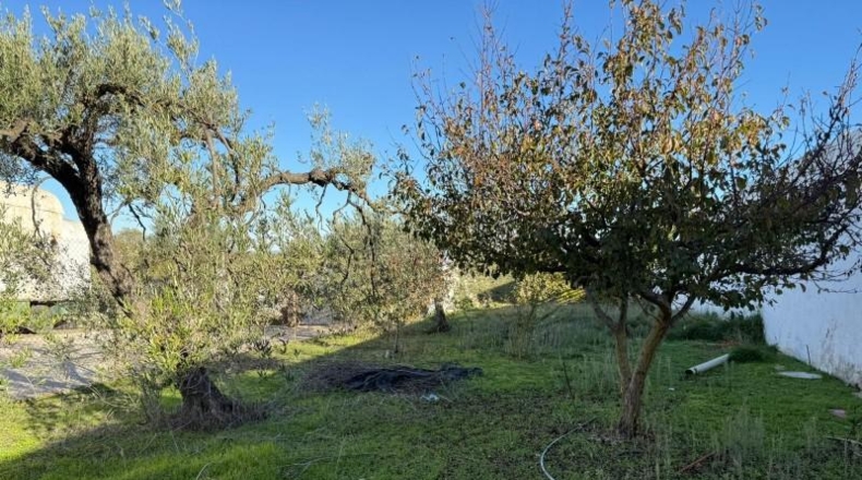 Sevilla - Salteras - 1229m2