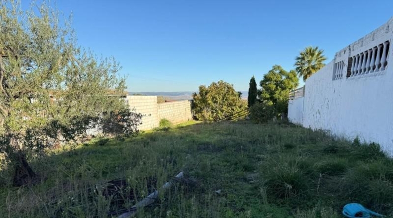 Sevilla - Salteras - 1229m2