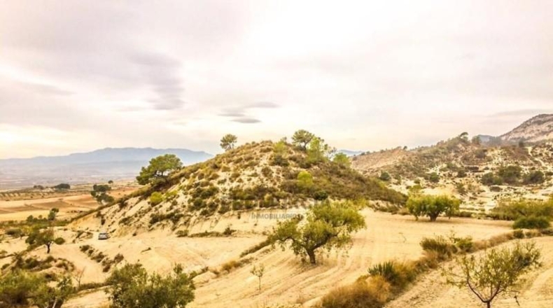 Múrcia - Ricote - 75000m2