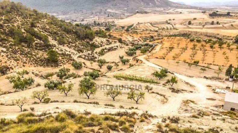 Múrcia - Ricote - 75000m2