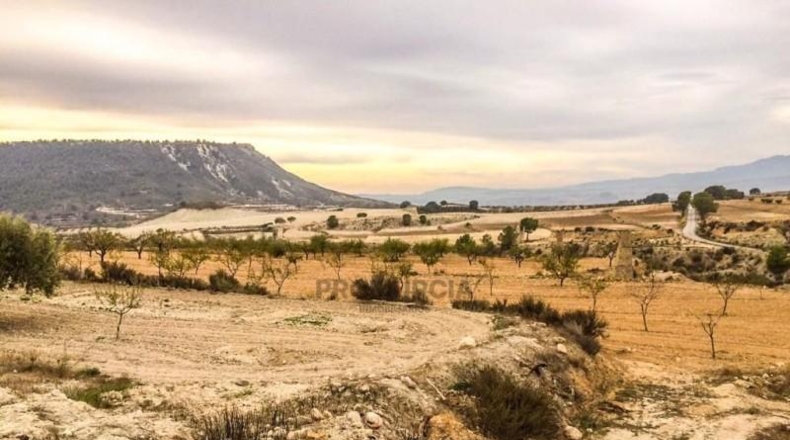 Múrcia - Ricote - 75000m2