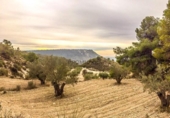 Casa de campo con terreno en venta en la España, Ricote, ref: TR268677 foto
