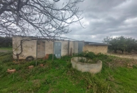 Foto 15