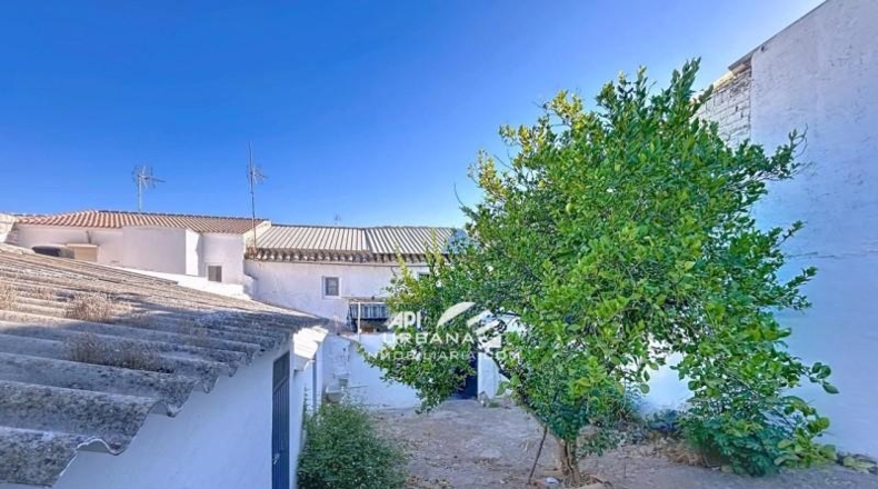 Córdoba - Lucena - 260m2
