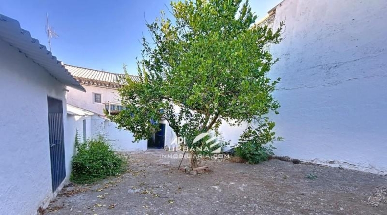 Córdoba - Lucena - 260m2