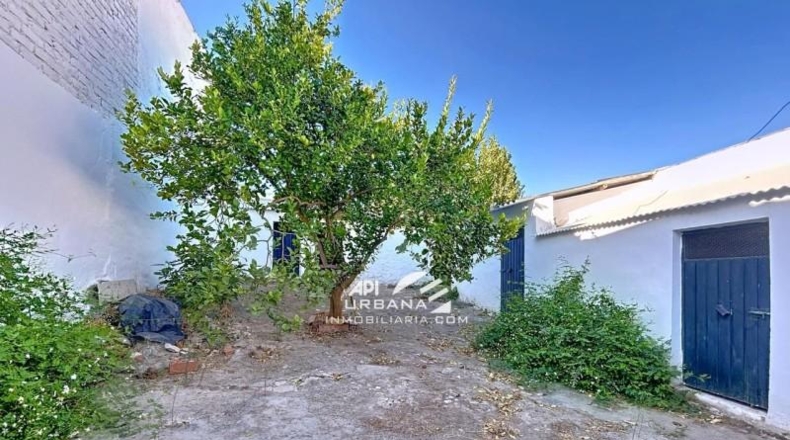 Córdoba - Lucena - 260m2