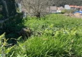 Suelo urbano en venta en la España, Vigo, ref: TR404110 foto