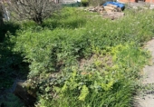 Suelo urbano en venta en la España, Vigo, ref: TR404110 foto