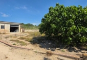 Chalet independiente con terreno en venta en la España, Llíria, ref: TR404315 foto