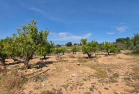 Llíria 22450&nbsp;m² 