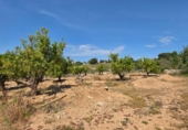 Chalet independiente con terreno en venta en la España, Llíria, ref: TR404315 foto