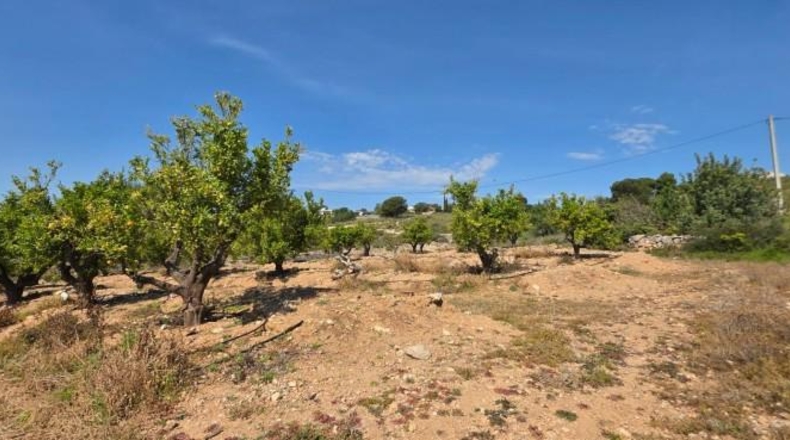 València - Llíria - 22450m2