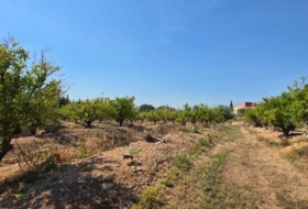 Llíria 22450&nbsp;m² 